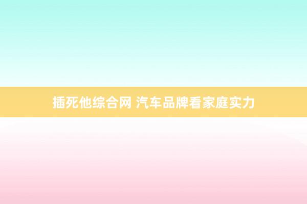 插死他综合网 汽车品牌看家庭实力