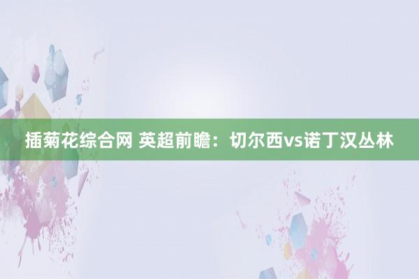 插菊花综合网 英超前瞻:切尔西vs诺丁汉丛林