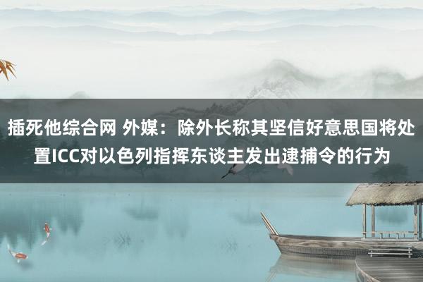 插死他综合网 外媒：除外长称其坚信好意思国将处置ICC对以色列指挥东谈主发出逮捕令的行为