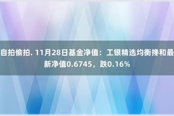 自拍偷拍. 11月28日基金净值：工银精选均衡搀和最新净值0.6745，跌0.16%