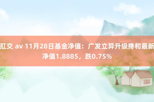 肛交 av 11月28日基金净值：广发立异升级搀和最新净值1.8885，跌0.75%