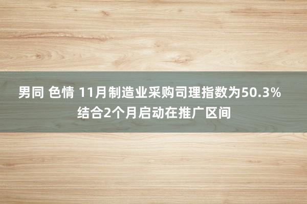 男同 色情 11月制造业采购司理指数为50.3%  结合2个月启动在推广区间