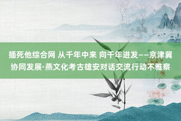 插死他综合网 从千年中来 向千年进发——京津冀协同发展·燕文化考古雄安对话交流行动不雅察