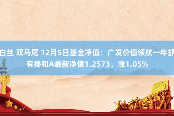 白丝 双马尾 12月5日基金净值：广发价值领航一年抓有搀和A最新净值1.2573，涨1.05%