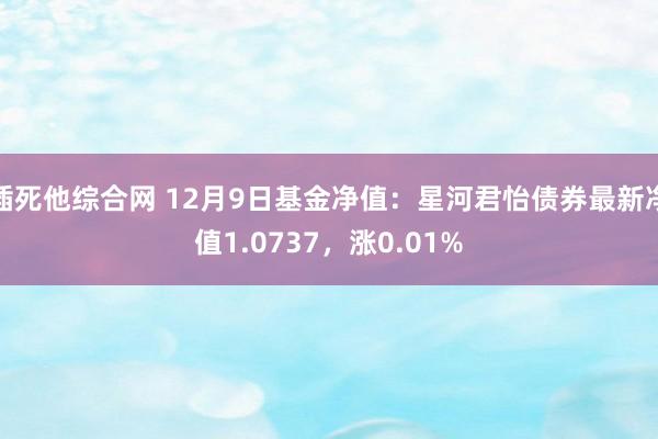 插死他综合网 12月9日基金净值：星河君怡债券最新净值1.0737，涨0.01%