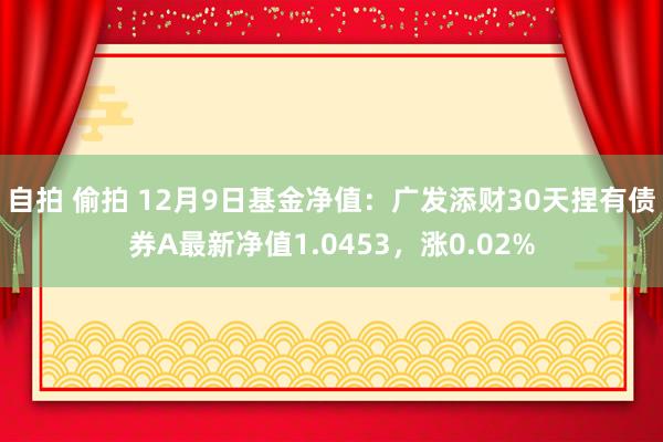 自拍 偷拍 12月9日基金净值：广发添财30天捏有债券A最新净值1.0453，涨0.02%