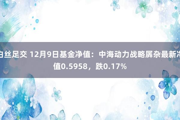 白丝足交 12月9日基金净值：中海动力战略羼杂最新净值0.5958，跌0.17%