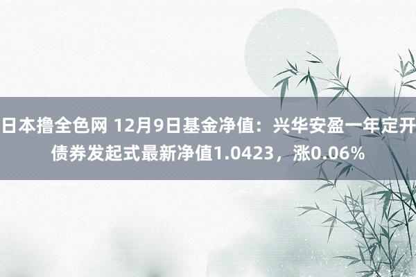 日本撸全色网 12月9日基金净值：兴华安盈一年定开债券发起式最新净值1.0423，涨0.06%