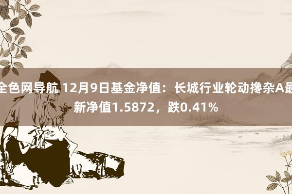 全色网导航 12月9日基金净值：长城行业轮动搀杂A最新净值1.5872，跌0.41%