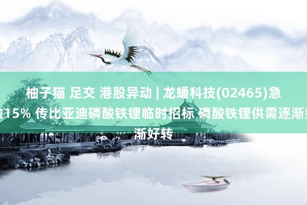 柚子猫 足交 港股异动 | 龙蟠科技(02465)急升逾15% 传比亚迪磷酸铁锂临时招标 磷酸铁锂供需逐渐好转