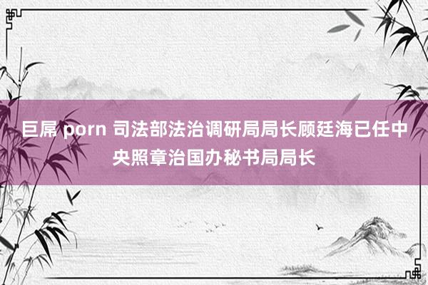 巨屌 porn 司法部法治调研局局长顾廷海已任中央照章治国办秘书局局长