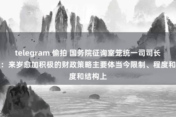 telegram 偷拍 国务院征询室笼统一司司长刘日红：来岁愈加积极的财政策略主要体当今限制、程度和结构上