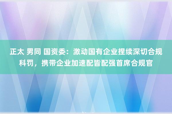 正太 男同 国资委：激动国有企业捏续深切合规科罚，携带企业加速配皆配强首席合规官