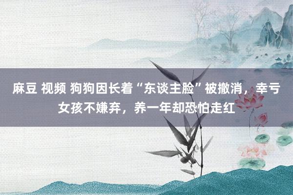 麻豆 视频 狗狗因长着“东谈主脸”被撤消，幸亏女孩不嫌弃，养一年却恐怕走红