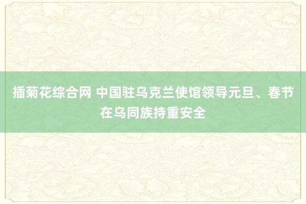 插菊花综合网 中国驻乌克兰使馆领导元旦、春节在乌同族持重安全