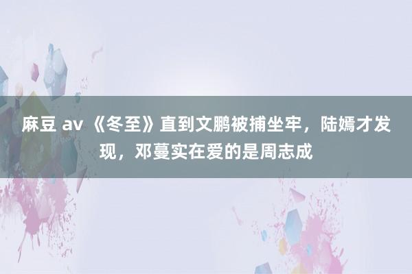 麻豆 av 《冬至》直到文鹏被捕坐牢，陆嫣才发现，邓蔓实在爱的是周志成
