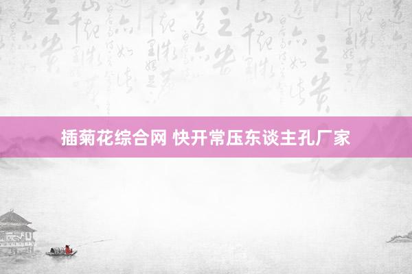 插菊花综合网 快开常压东谈主孔厂家