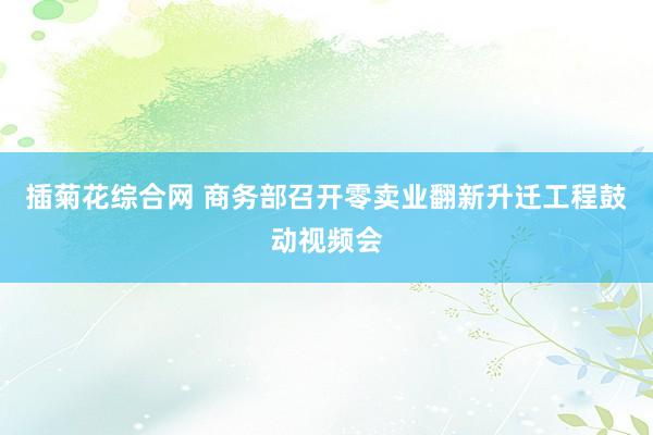 插菊花综合网 商务部召开零卖业翻新升迁工程鼓动视频会