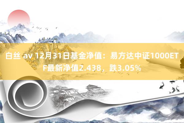 白丝 av 12月31日基金净值：易方达中证1000ETF最新净值2.438，跌3.05%