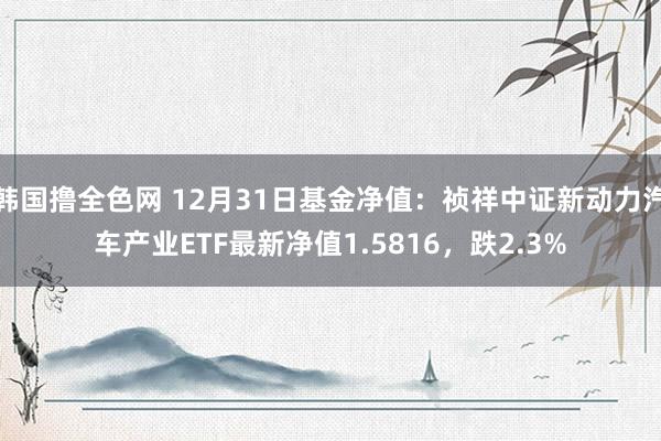 韩国撸全色网 12月31日基金净值：祯祥中证新动力汽车产业ETF最新净值1.5816，跌2.3%