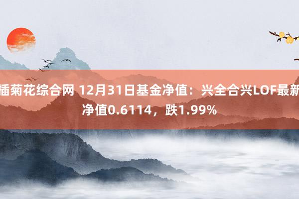 插菊花综合网 12月31日基金净值：兴全合兴LOF最新净值0.6114，跌1.99%