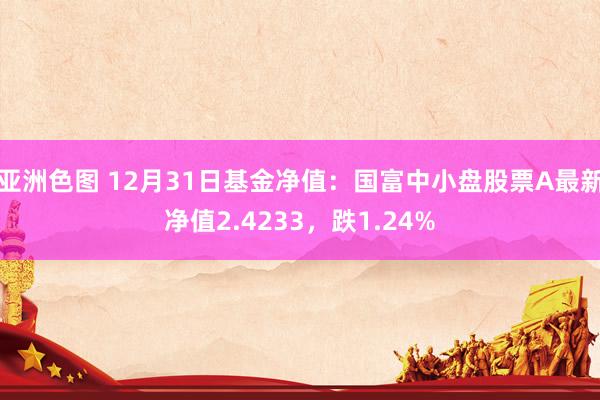 亚洲色图 12月31日基金净值：国富中小盘股票A最新净值2.4233，跌1.24%