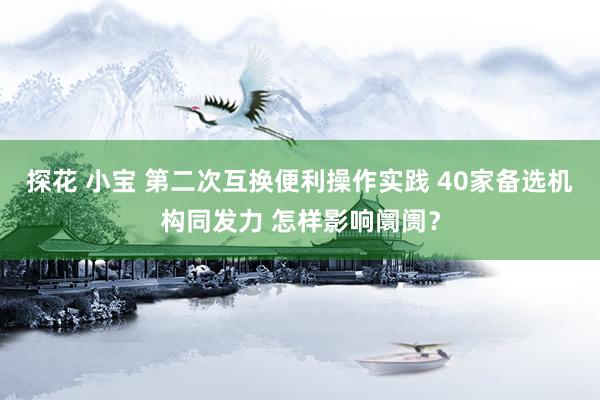 探花 小宝 第二次互换便利操作实践 40家备选机构同发力 怎样影响阛阓？