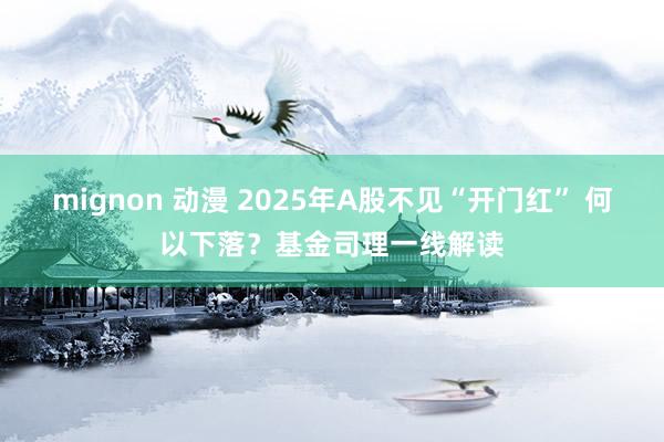 mignon 动漫 2025年A股不见“开门红” 何以下落？基金司理一线解读