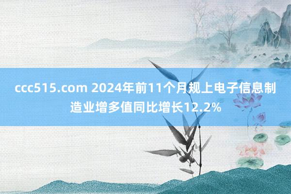 ccc515.com 2024年前11个月规上电子信息制造业增多值同比增长12.2%