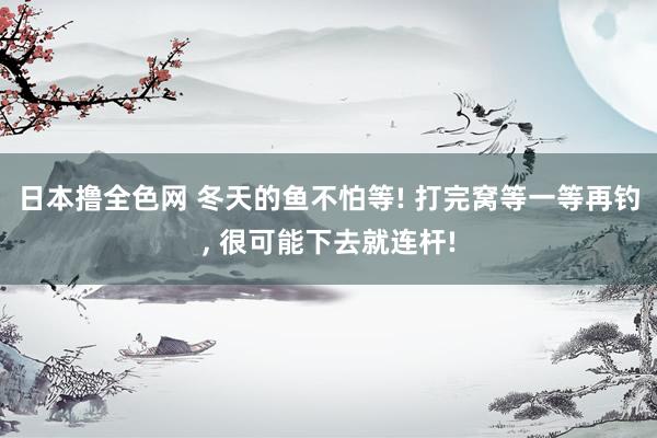 日本撸全色网 冬天的鱼不怕等! 打完窝等一等再钓， 很可能下去就连杆!