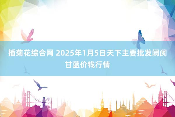 插菊花综合网 2025年1月5日天下主要批发阛阓甘蓝价钱行情
