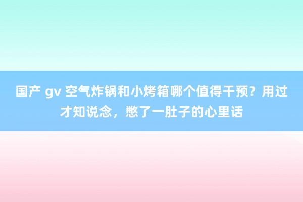 国产 gv 空气炸锅和小烤箱哪个值得干预？用过才知说念，憋了一肚子的心里话