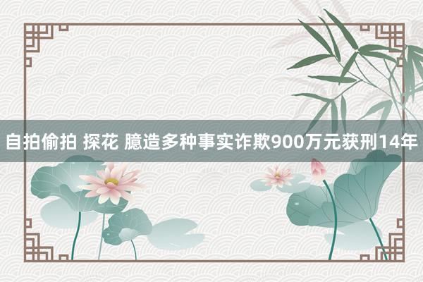 自拍偷拍 探花 臆造多种事实诈欺900万元获刑14年