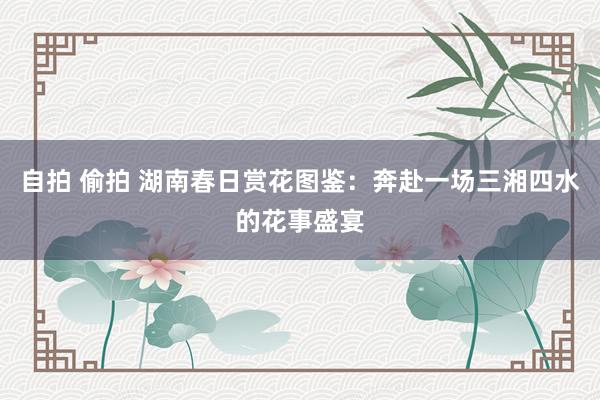 自拍 偷拍 湖南春日赏花图鉴：奔赴一场三湘四水的花事盛宴