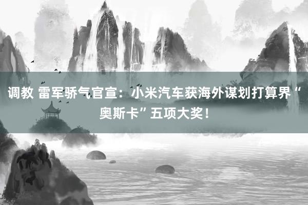 调教 雷军骄气官宣：小米汽车获海外谋划打算界“奥斯卡”五项大奖！