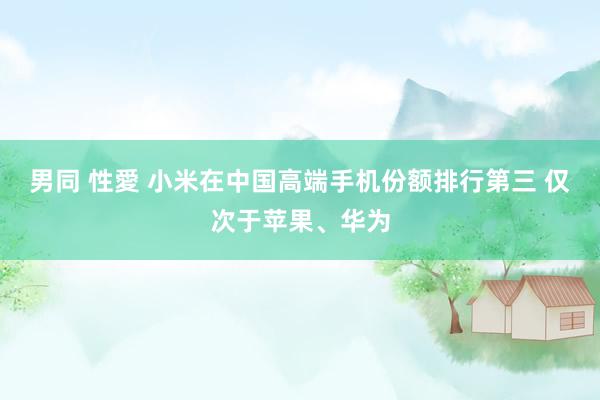 男同 性愛 小米在中国高端手机份额排行第三 仅次于苹果、华为