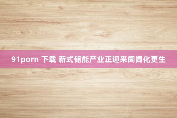 91porn 下载 新式储能产业正迎来阛阓化更生