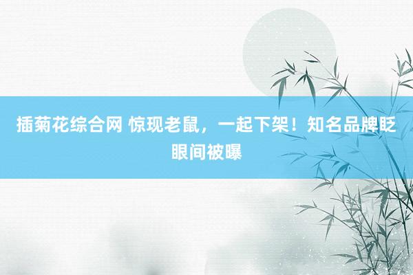 插菊花综合网 惊现老鼠，一起下架！知名品牌眨眼间被曝