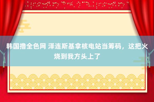 韩国撸全色网 泽连斯基拿核电站当筹码，这把火烧到我方头上了