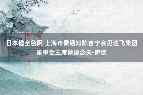 日本撸全色网 上海市委通知陈吉宁会见达飞集团董事会主席鲁说念夫·萨德
