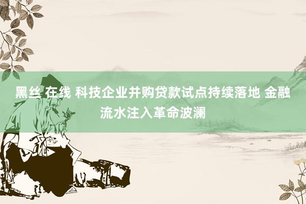 黑丝 在线 科技企业并购贷款试点持续落地 金融流水注入革命波澜