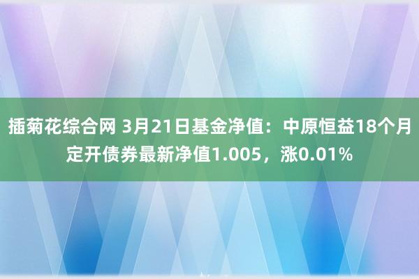 插菊花综合网 3月21日基金净值：中原恒益18个月定开债券最新净值1.005，涨0.01%