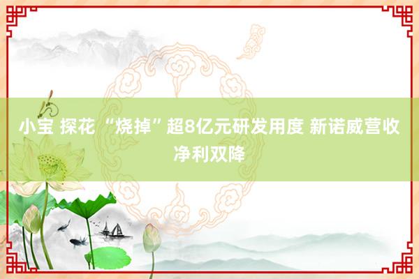 小宝 探花 “烧掉”超8亿元研发用度 新诺威营收净利双降
