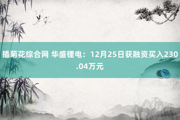 插菊花综合网 华盛锂电：12月25日获融资买入230.04万元