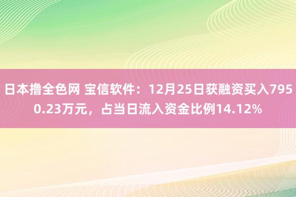 日本撸全色网 宝信软件：12月25日获融资买入7950.23万元，占当日流入资金比例14.12%