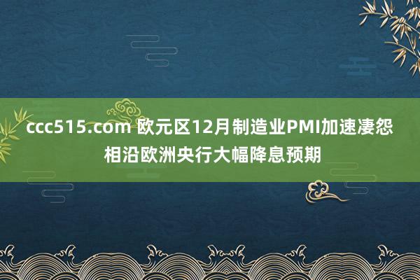 ccc515.com 欧元区12月制造业PMI加速凄怨 相沿欧洲央行大幅降息预期