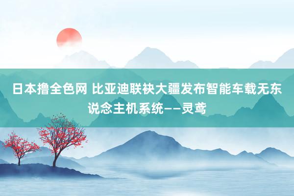 日本撸全色网 比亚迪联袂大疆发布智能车载无东说念主机系统——灵鸢