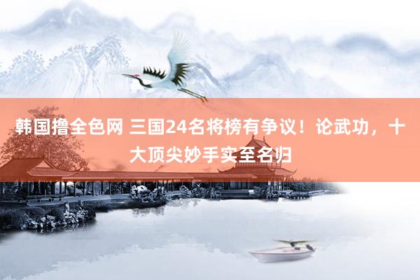 韩国撸全色网 三国24名将榜有争议！论武功，十大顶尖妙手实至名归