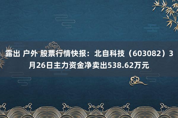 露出 户外 股票行情快报：北自科技（603082）3月26日主力资金净卖出538.62万元