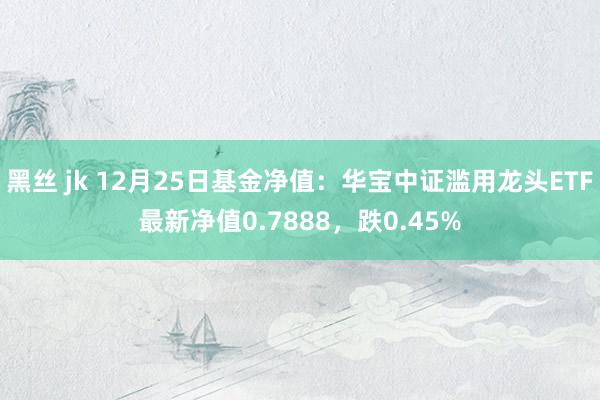 黑丝 jk 12月25日基金净值：华宝中证滥用龙头ETF最新净值0.7888，跌0.45%